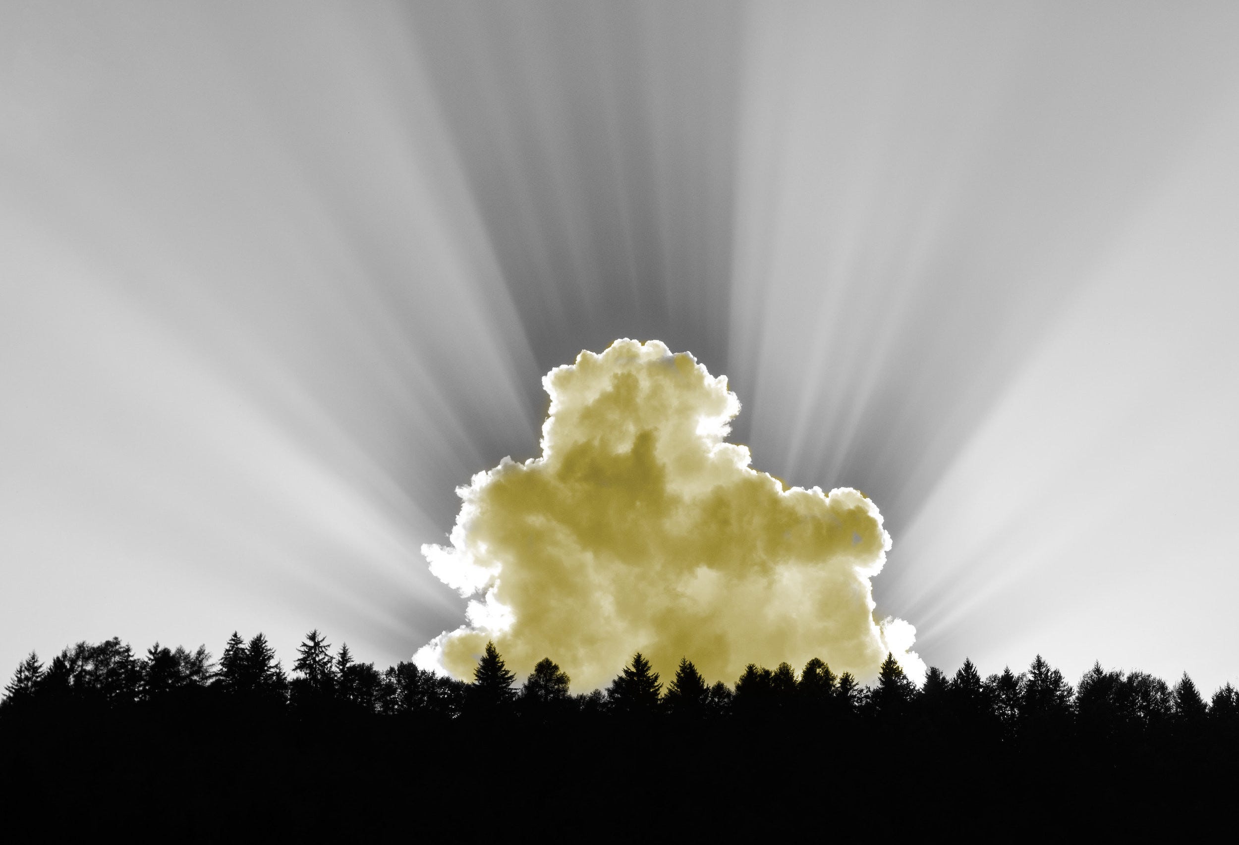 Deploying Machine Learning Models on Google Cloud Platform (GCP)