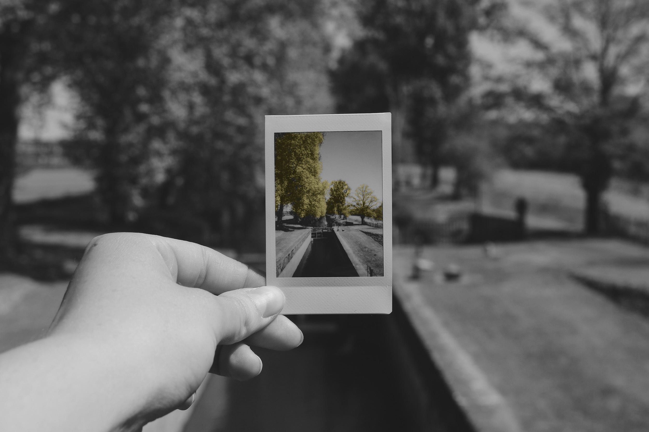Upload images in React Native apps using Firebase and Firestore