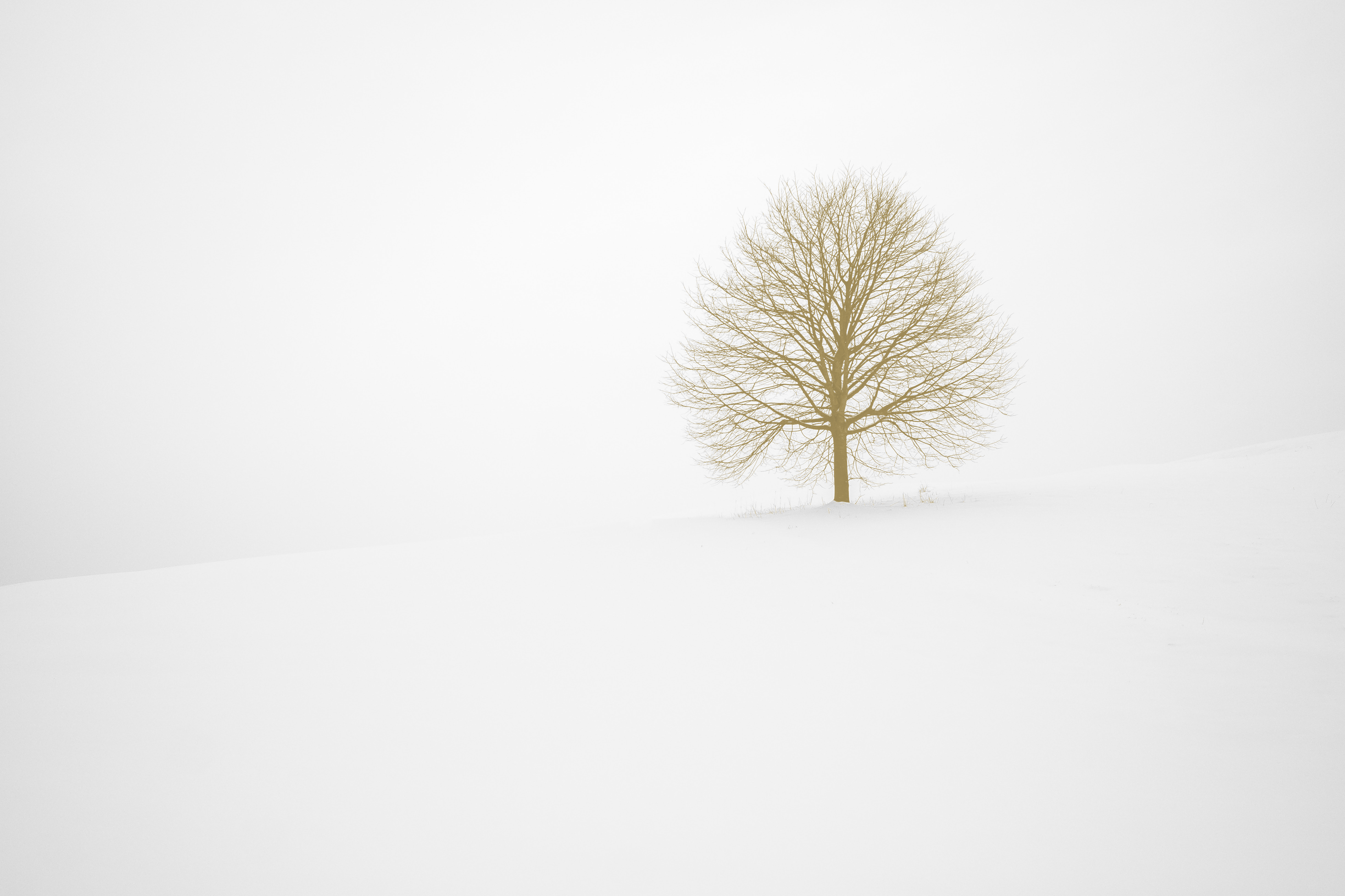 Introduction to Decision Tree Learning