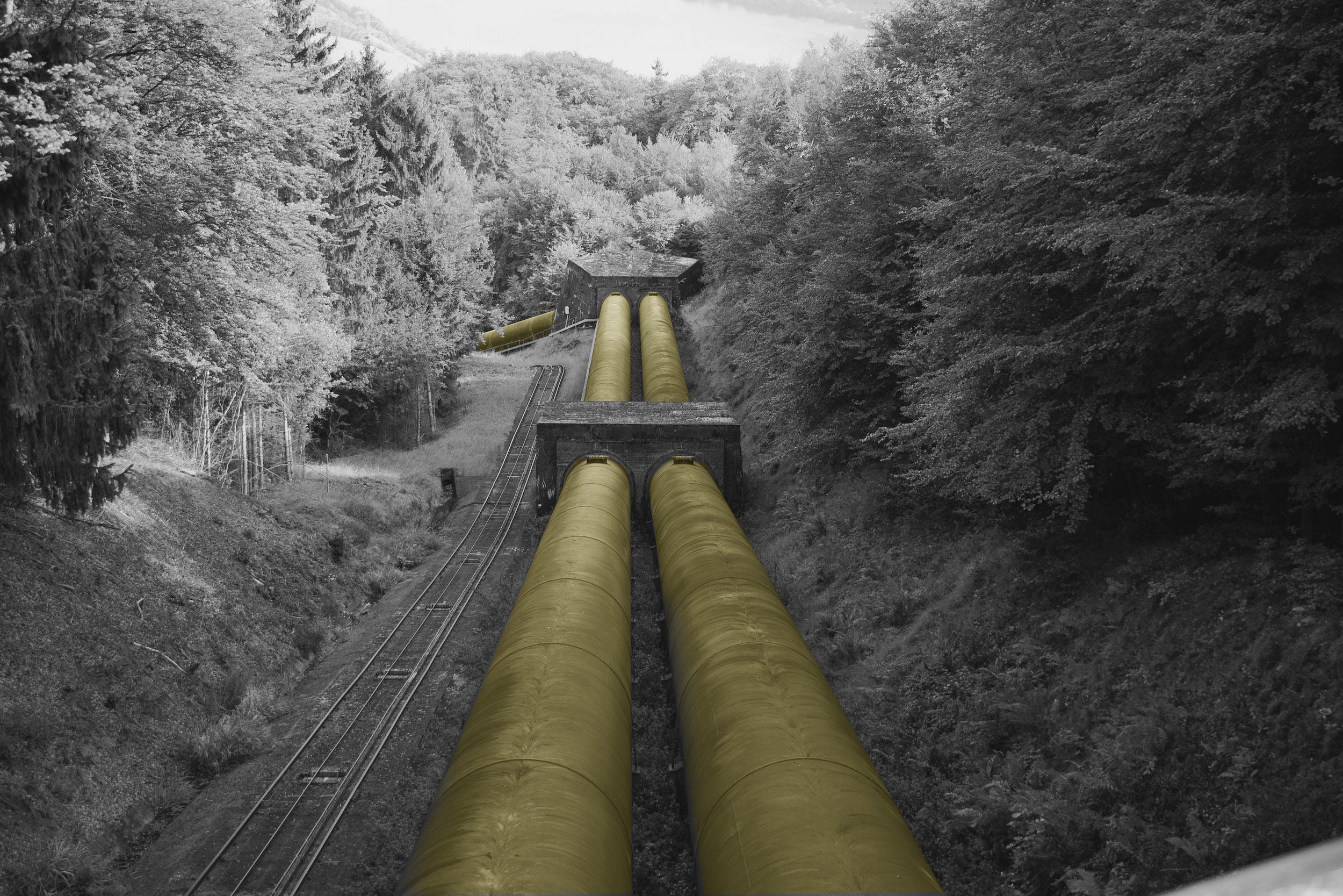 Building a Data Pipeline with TensorFlow