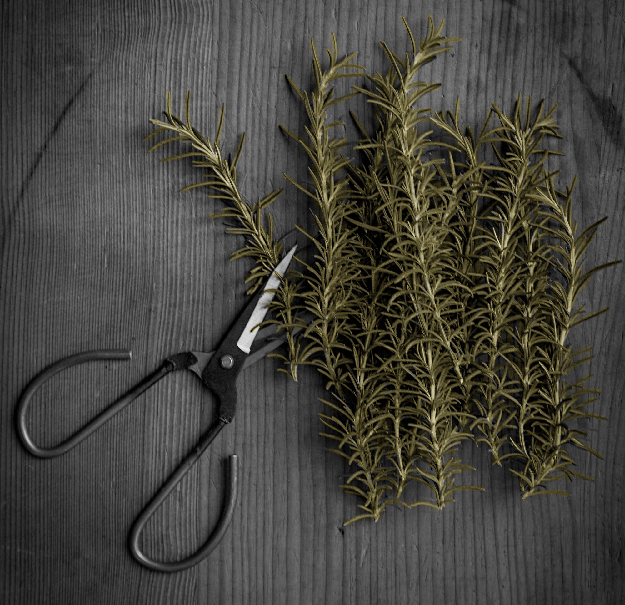 Research Guide: Pruning Techniques for Neural Networks