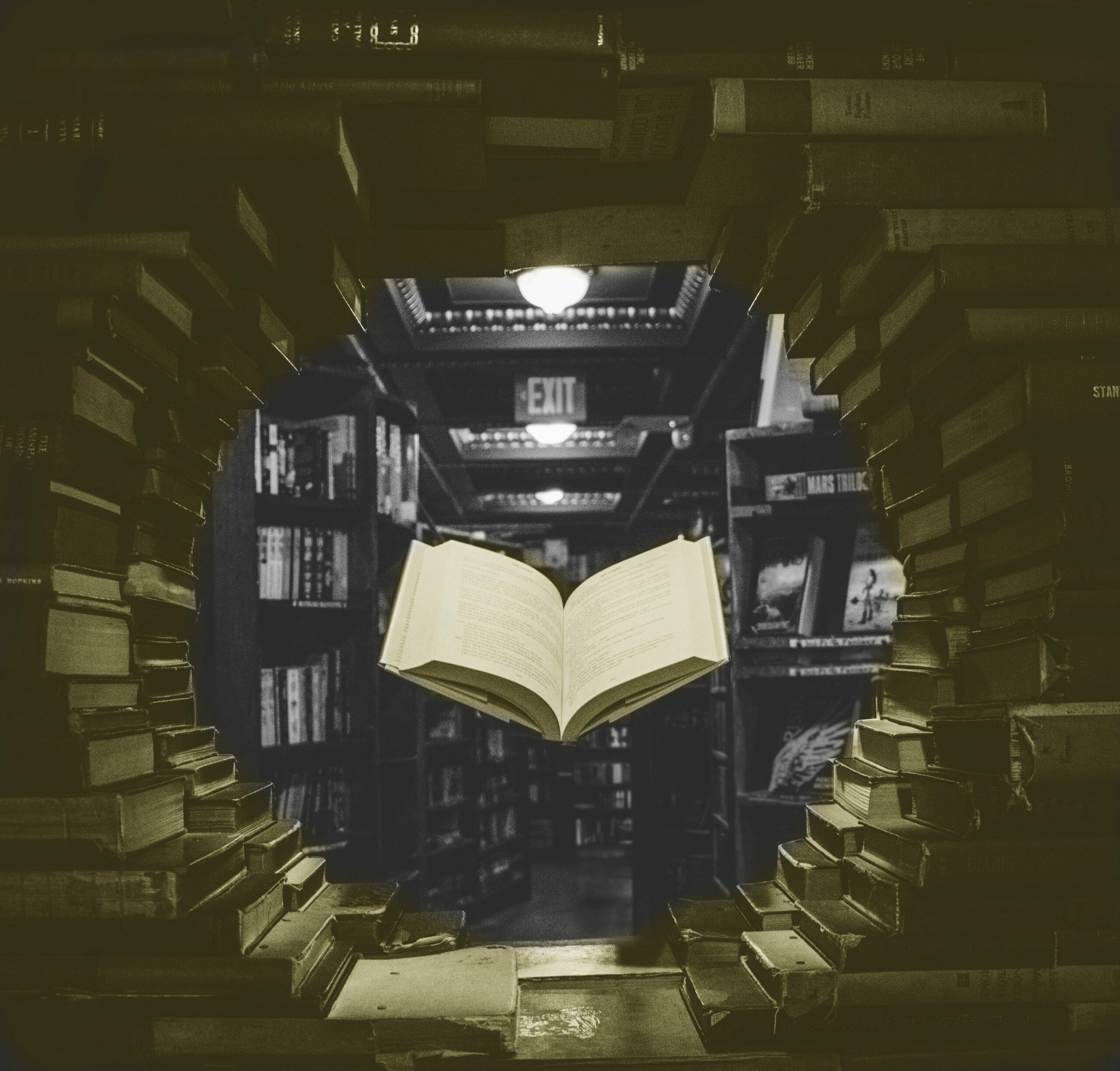 NLP Chronicles: Introduction to Natural Language Processing with NLTK