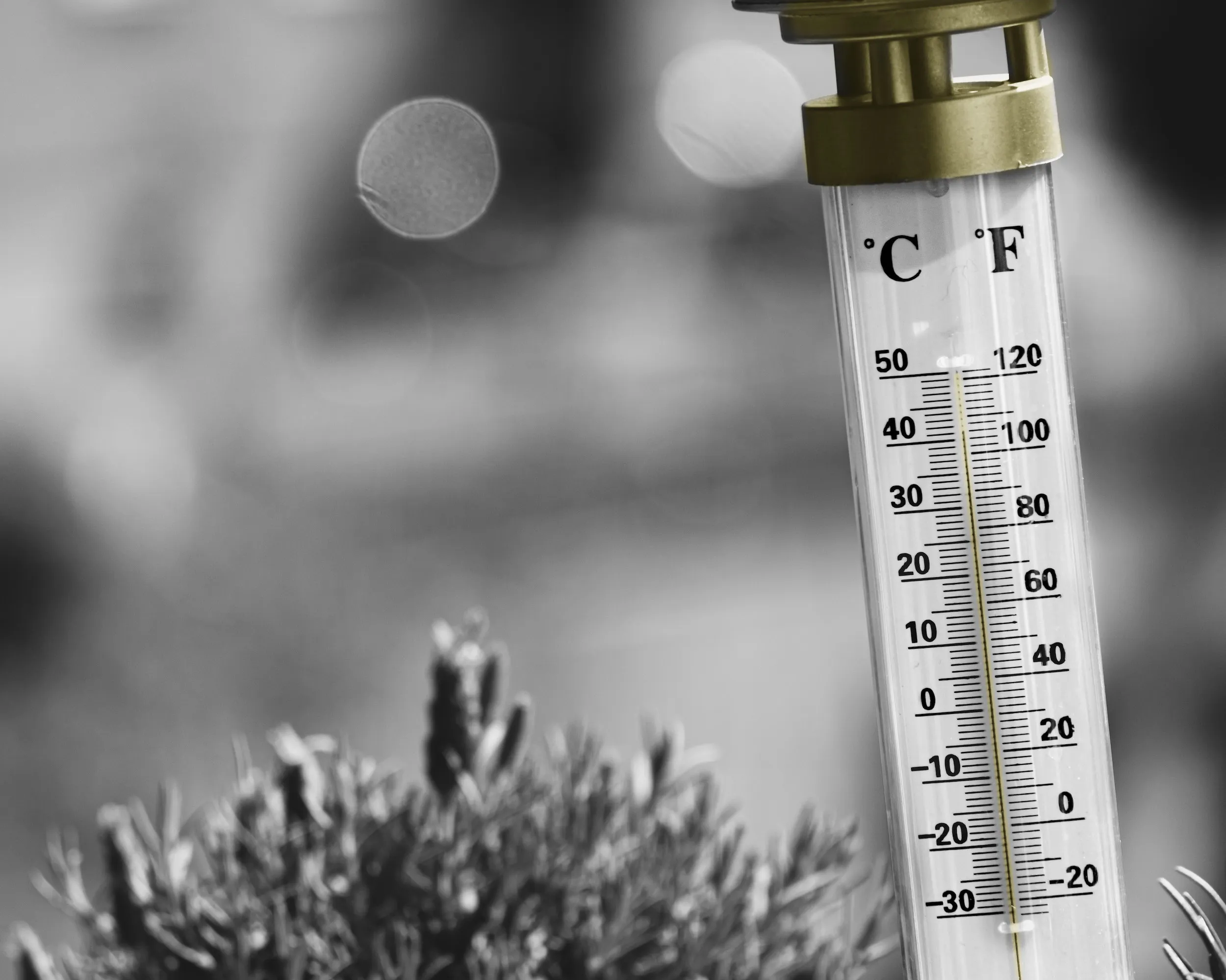 Weather Prediction iOS Application Using Flask API and AI