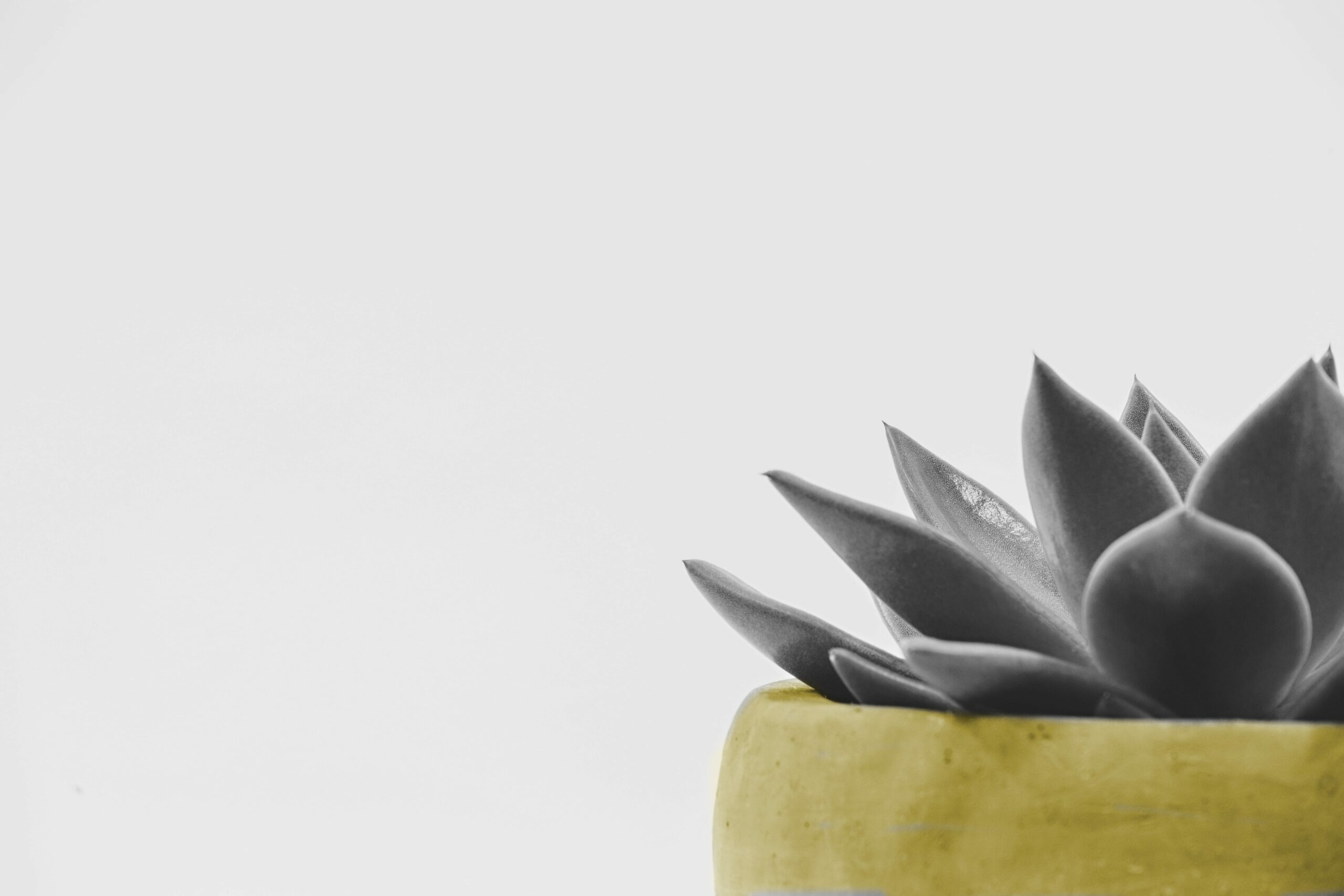Replace the Background in Facebook’s Spark AR Studio