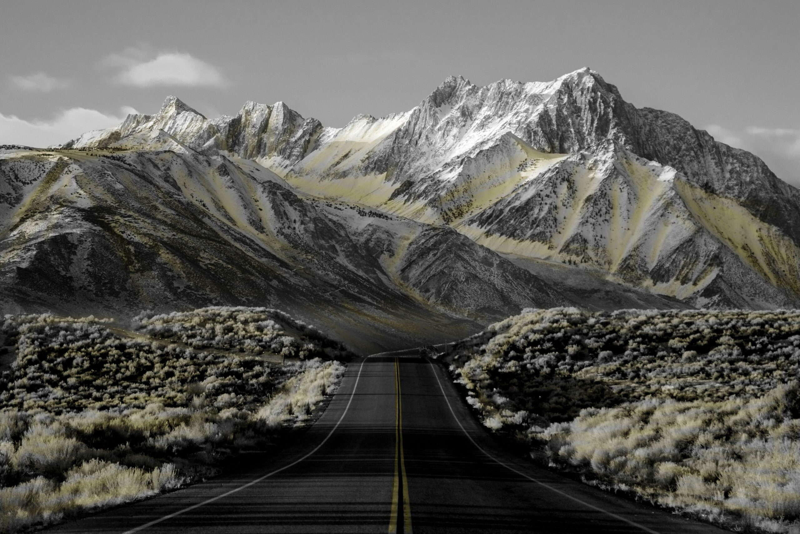 AI & Machine Learning Landscape (Part 2): Training platforms and tools