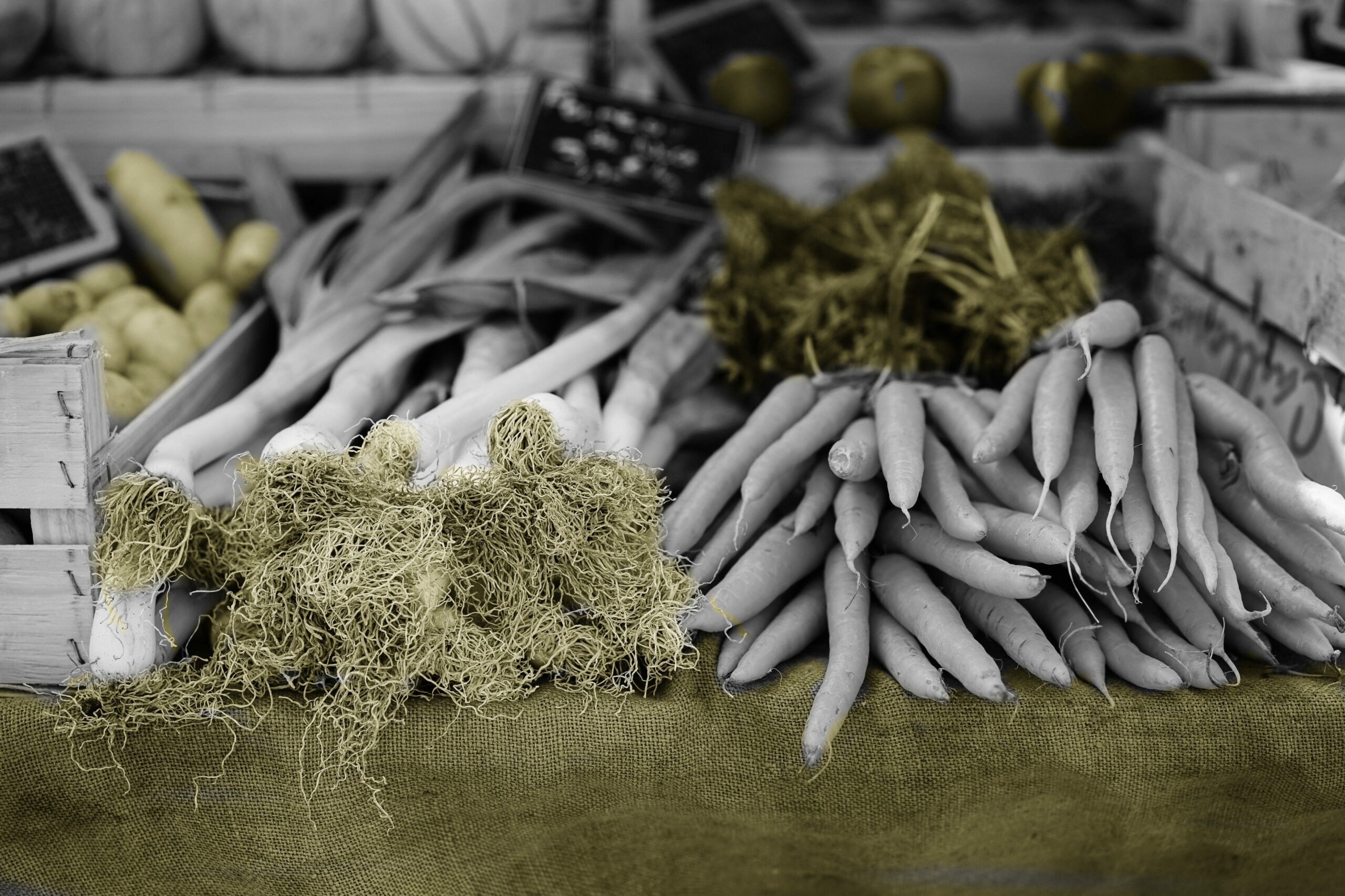 4 Applications of Artificial Intelligence in the Food Industry