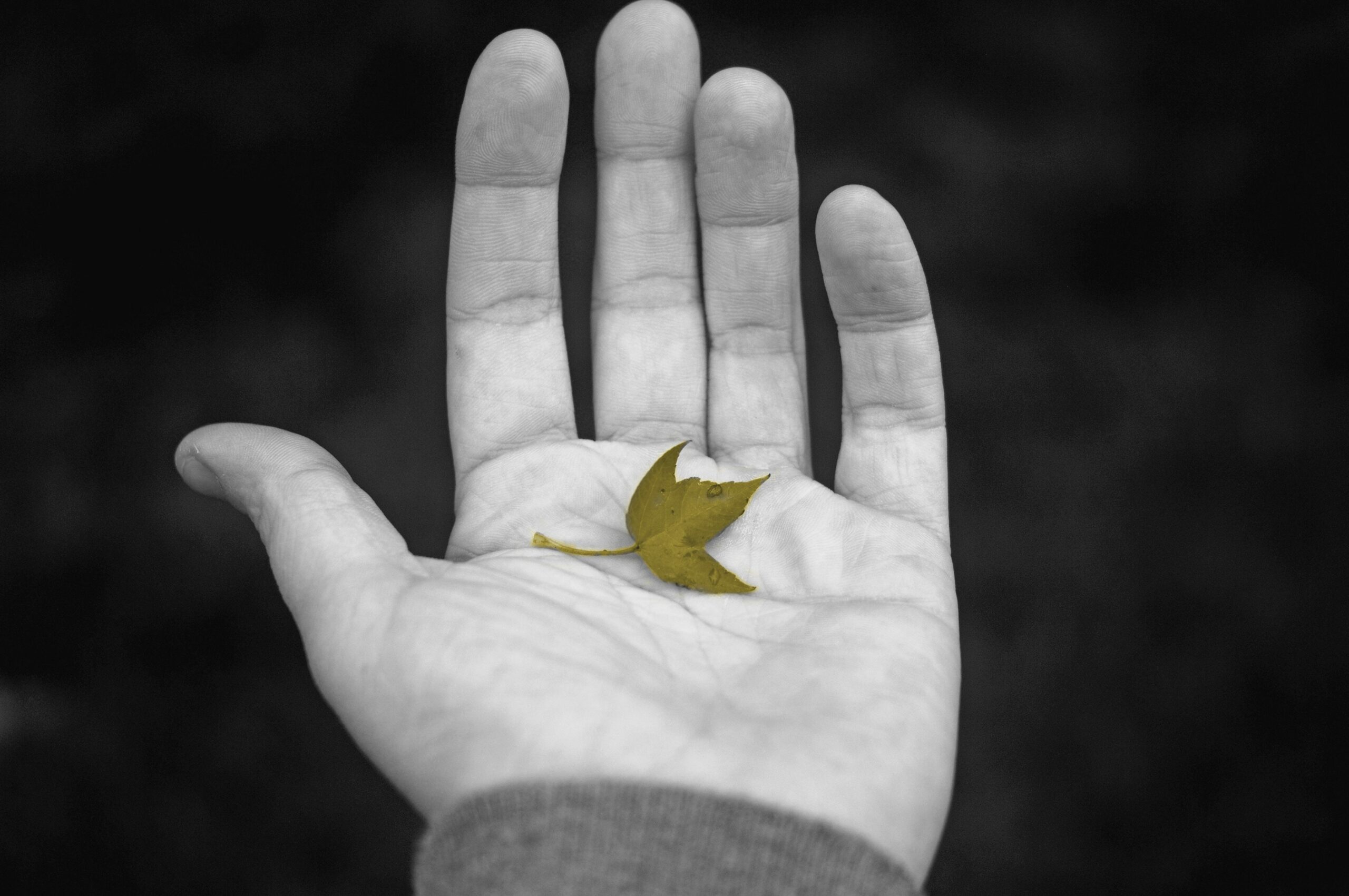 TensorFlow Lite Micro