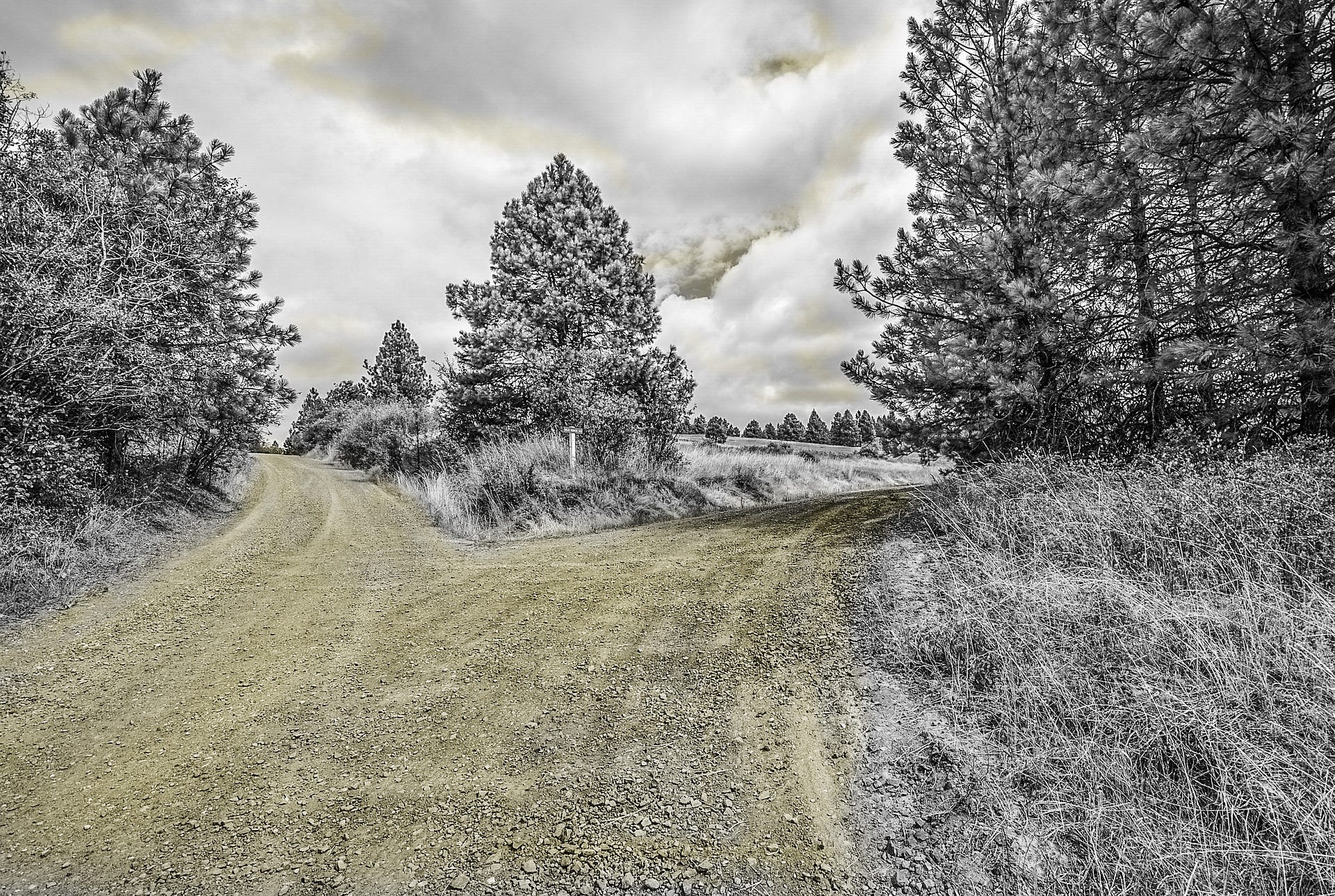 Recommender Systems with Python: Content-Based Filtering