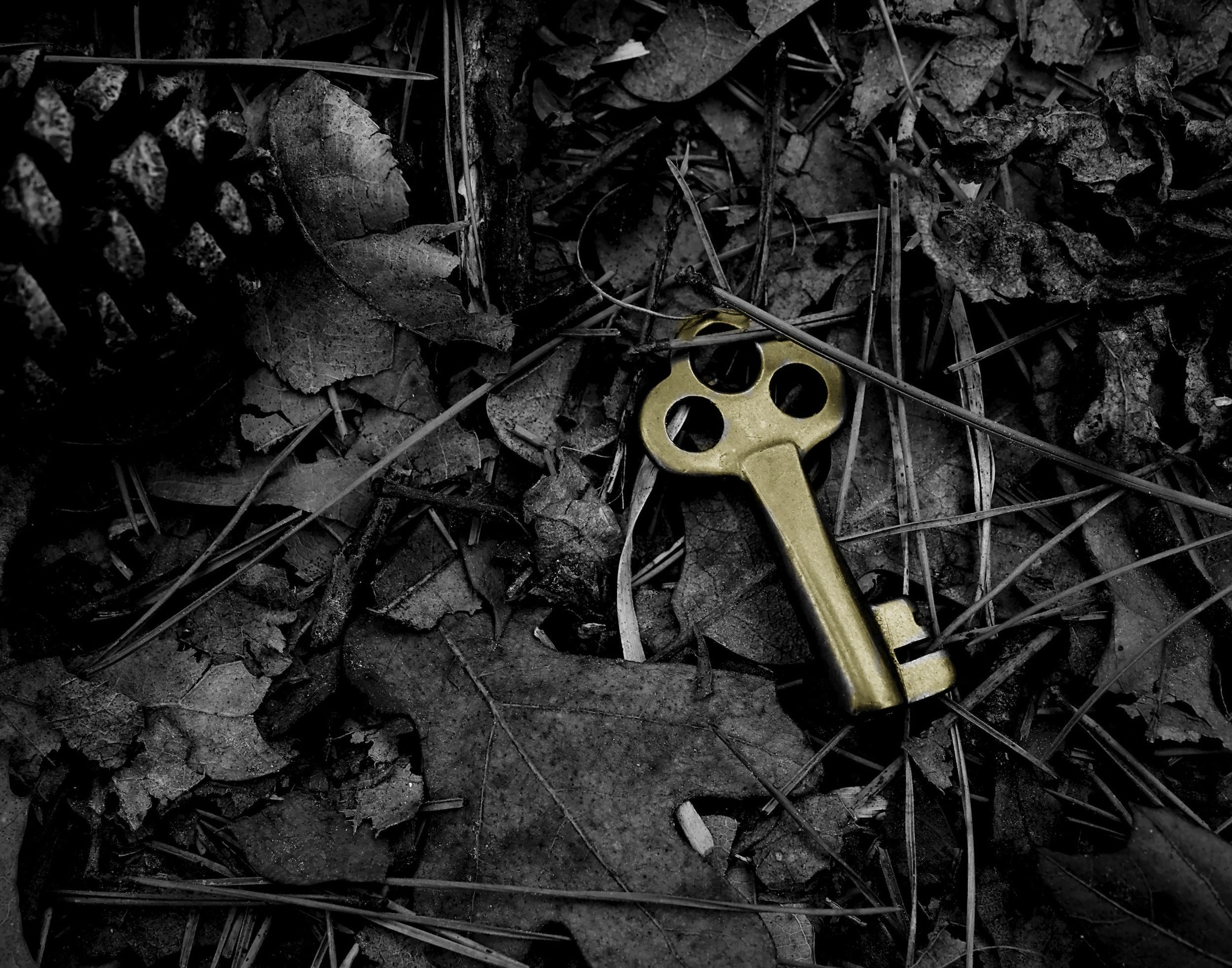 Data Handling Scenarios Part 2: Working with Missing Values in a Dataset