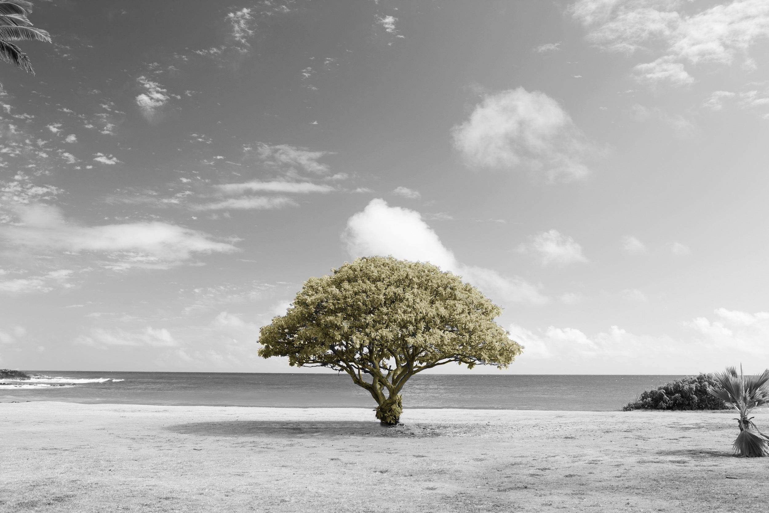 Implementing Regression Using a Decision Tree and Scikit-Learn