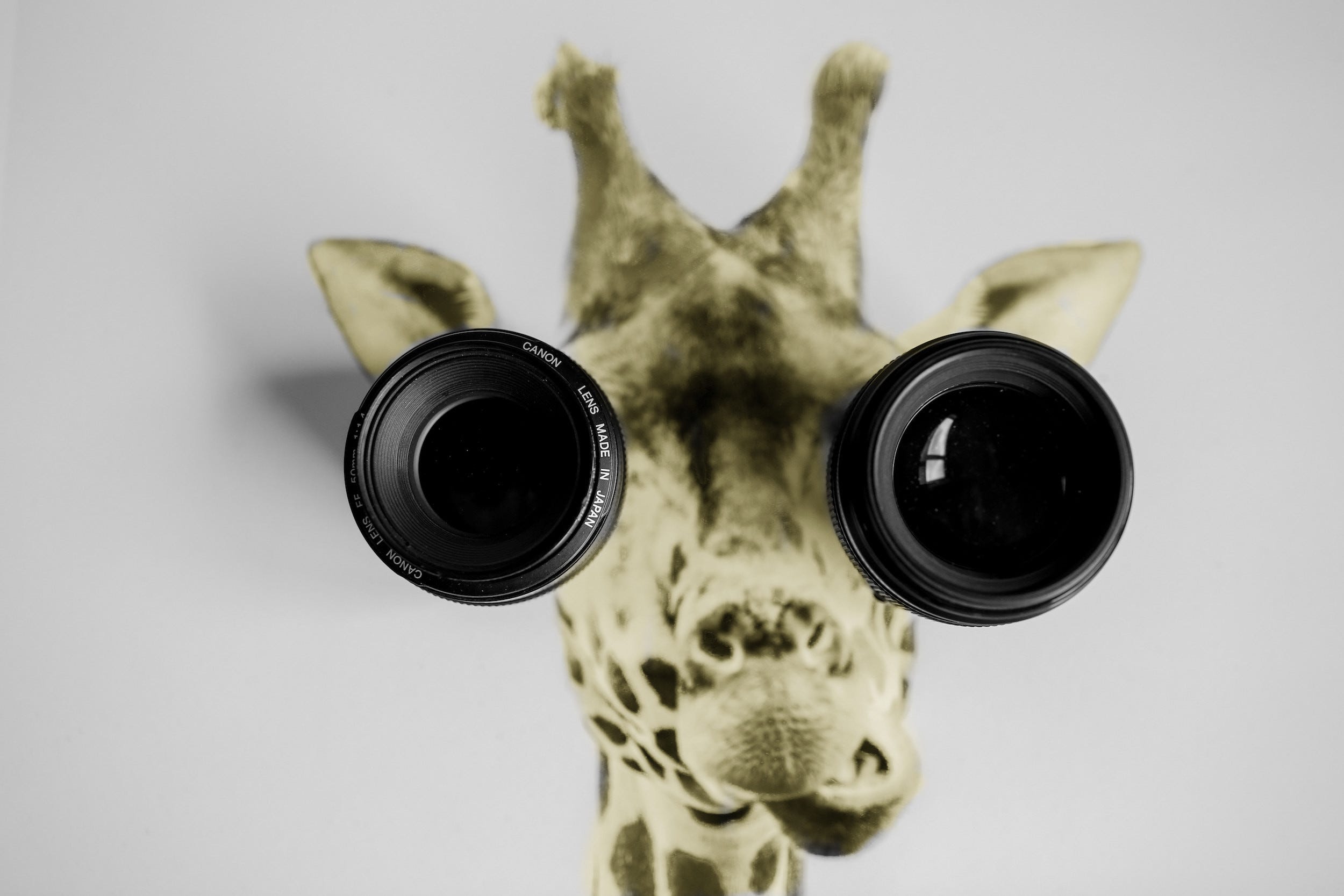 Creating Snapchat Augmented Reality Lenses in Lens Studio—A Beginner’s Guide