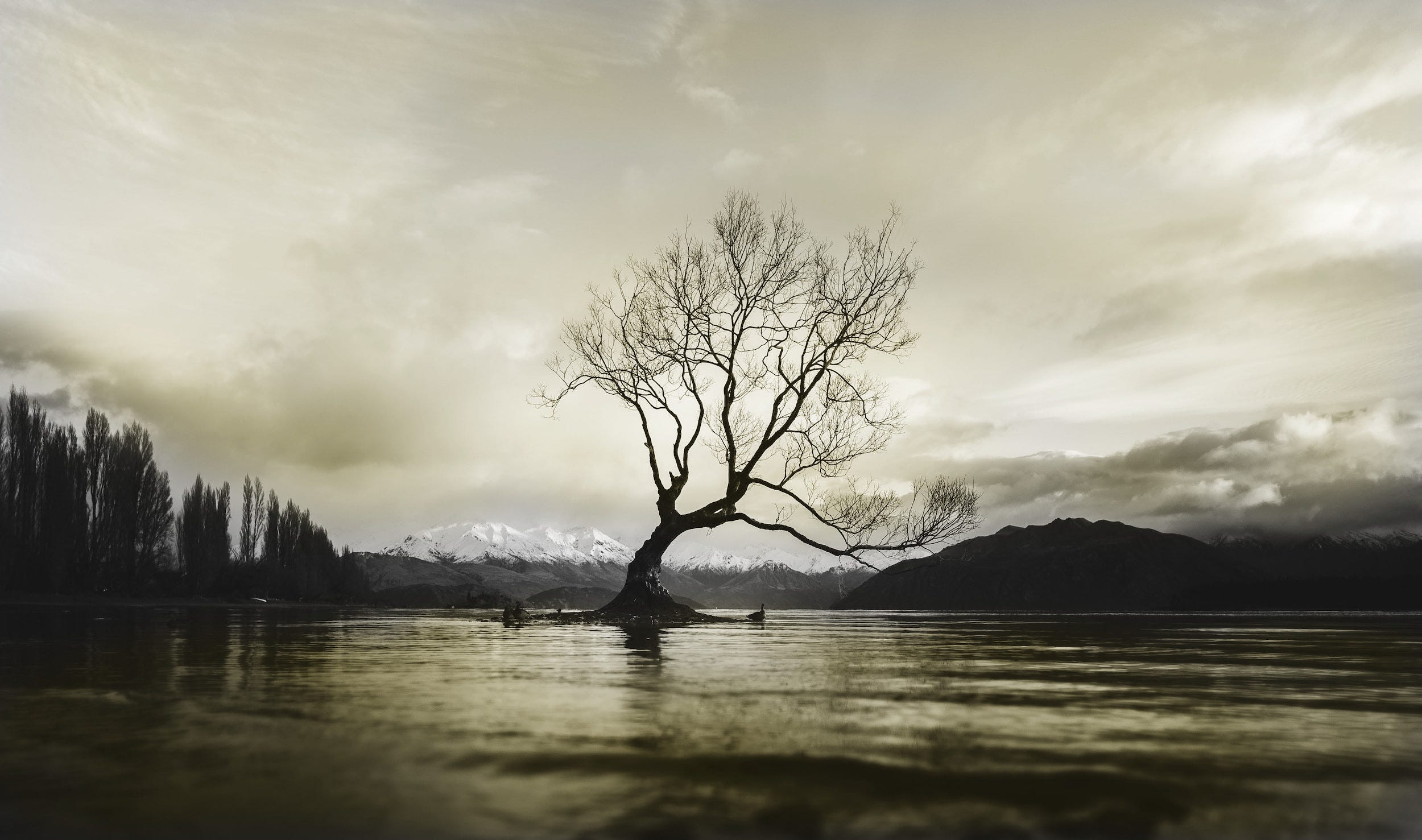 Understanding the Mathematics Behind Decision Trees
