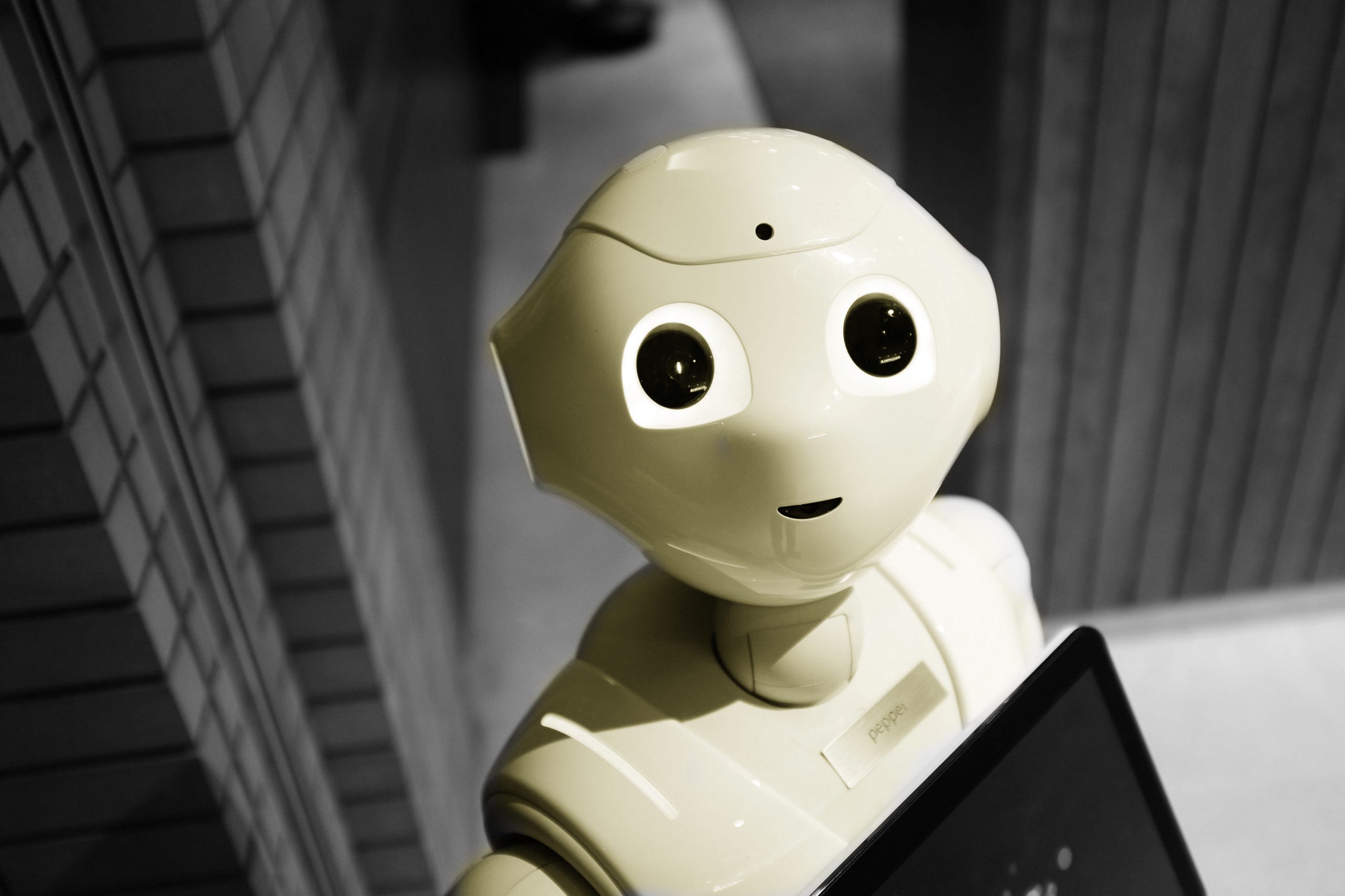 What is AI: Everything You Need to Know