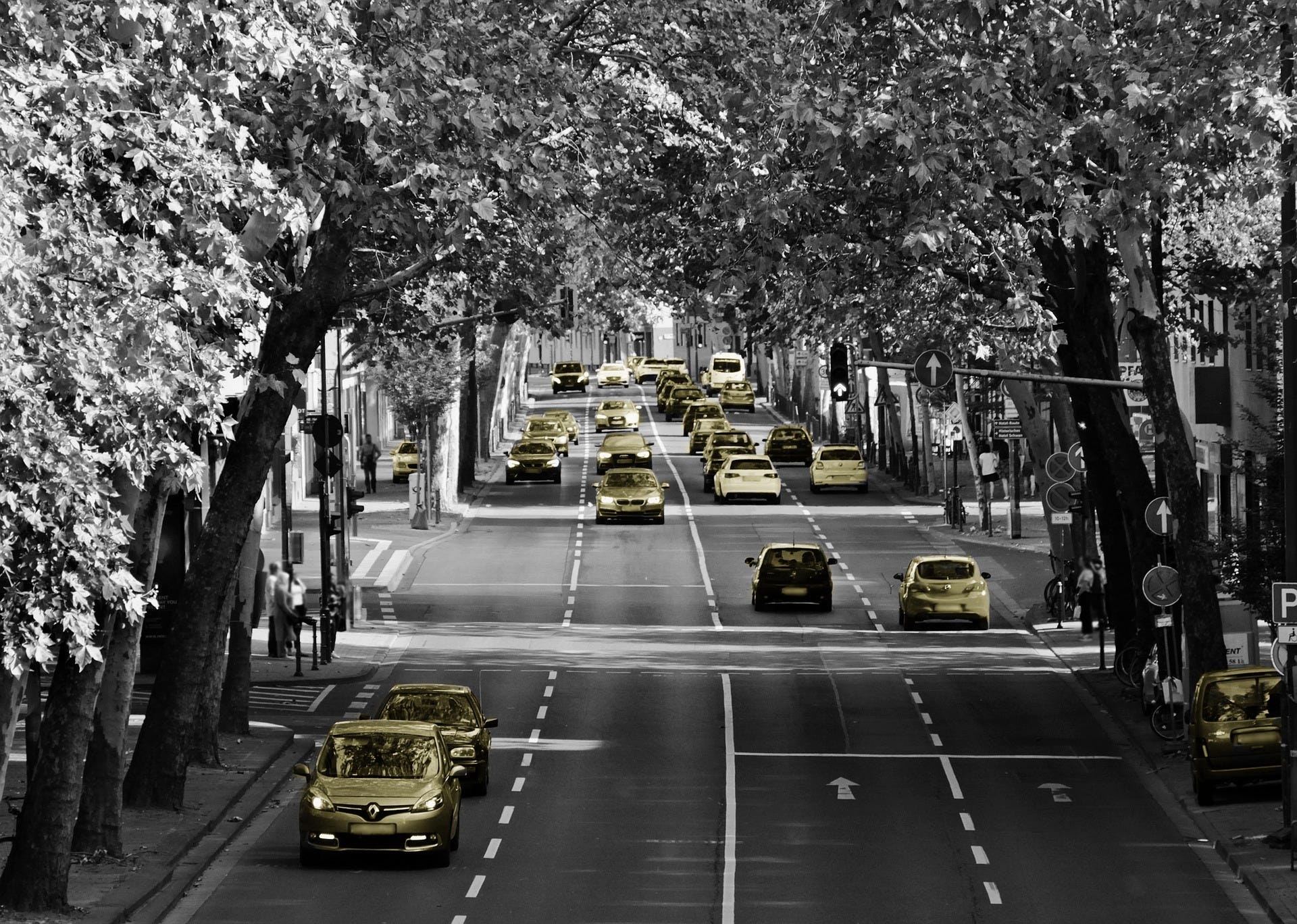 A 2019 Guide to Semantic Segmentation