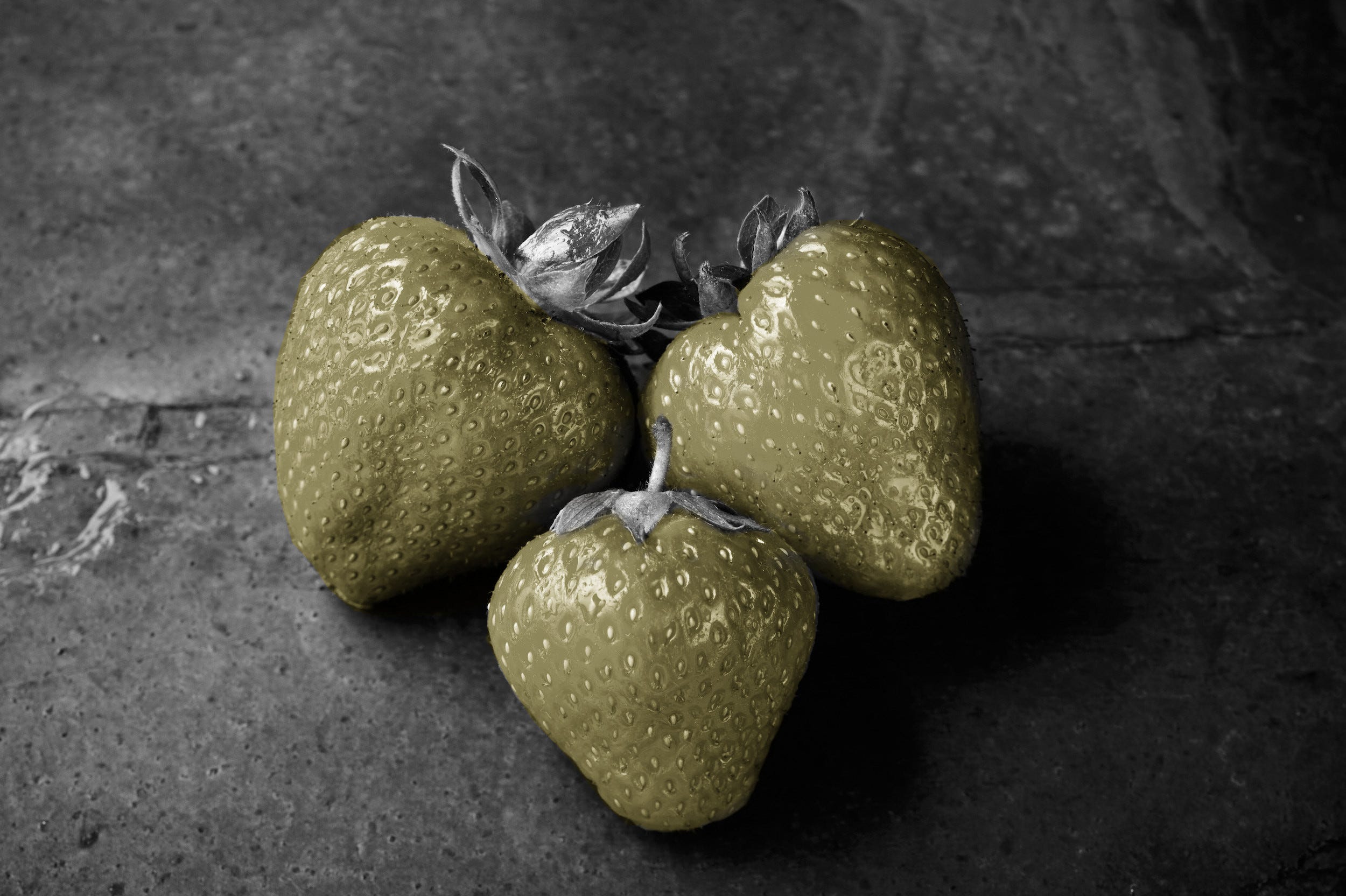 Image Recognition for Android with a Custom TensorFlow Lite Model