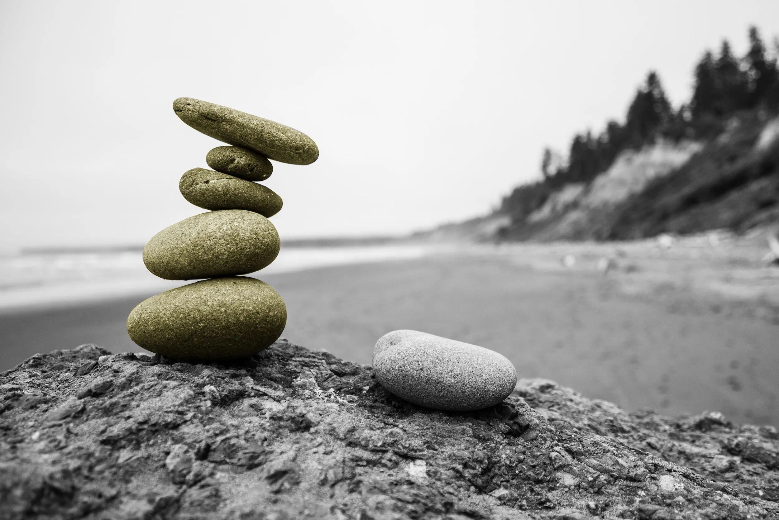 Getting Started with Stack Navigator Using react-navigation 5 in React Native and Expo Apps