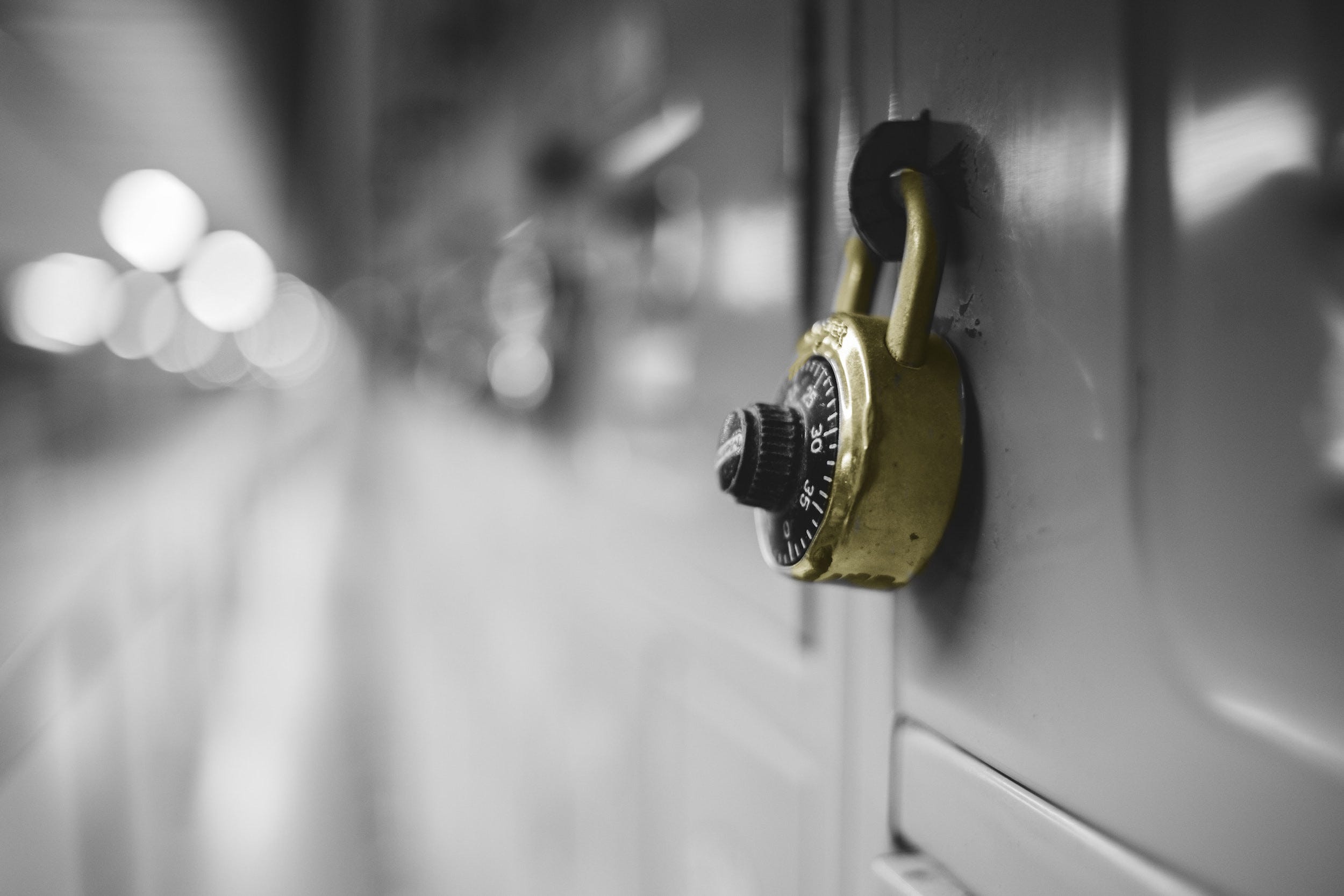 Protecting Core ML Models