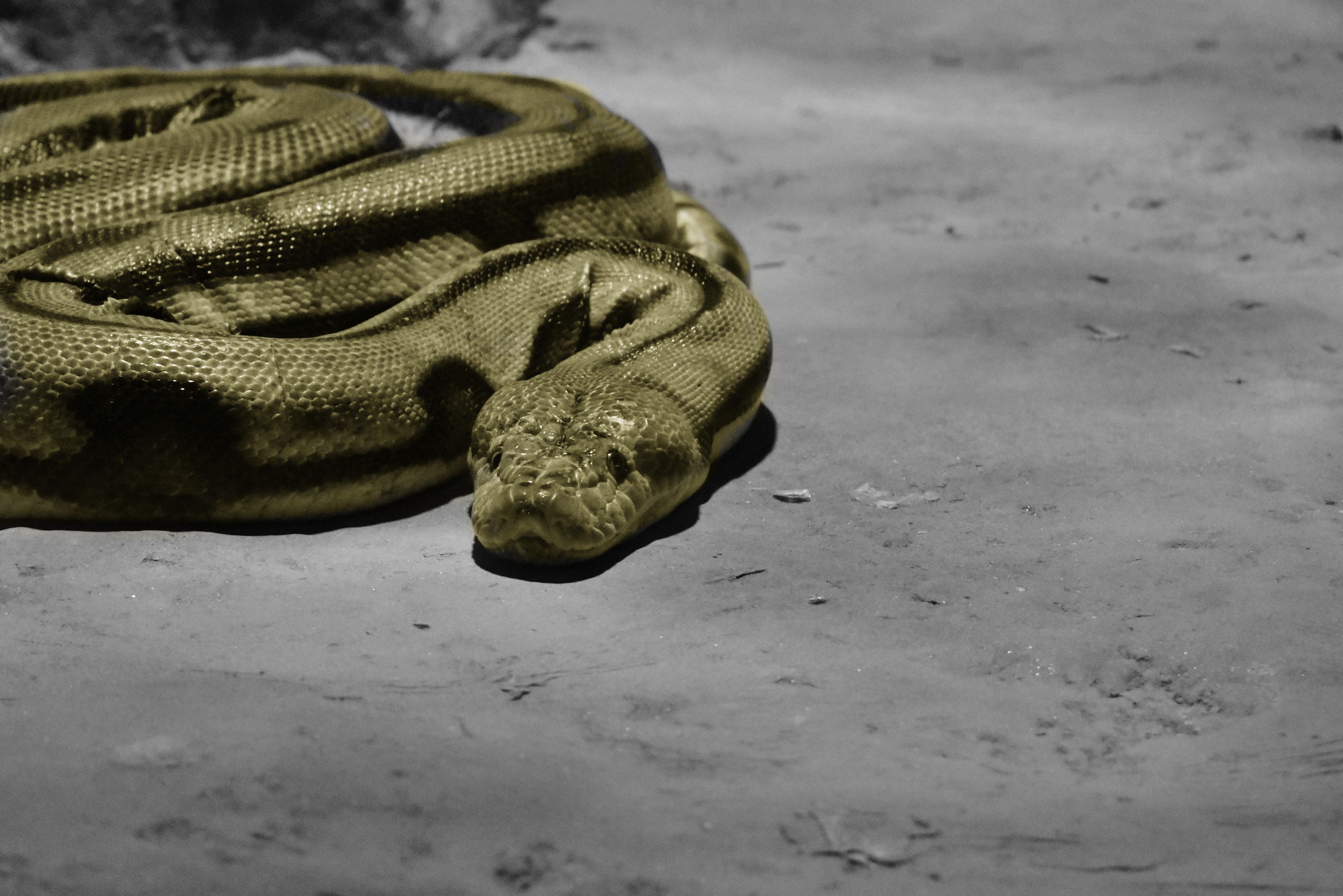 Creating Python Virtual Environments with Conda: Why and How