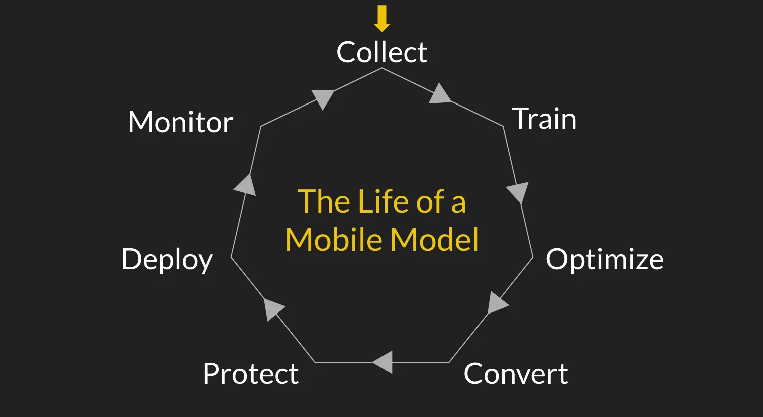 The Lifecycle of Mobile Machine Learning Models