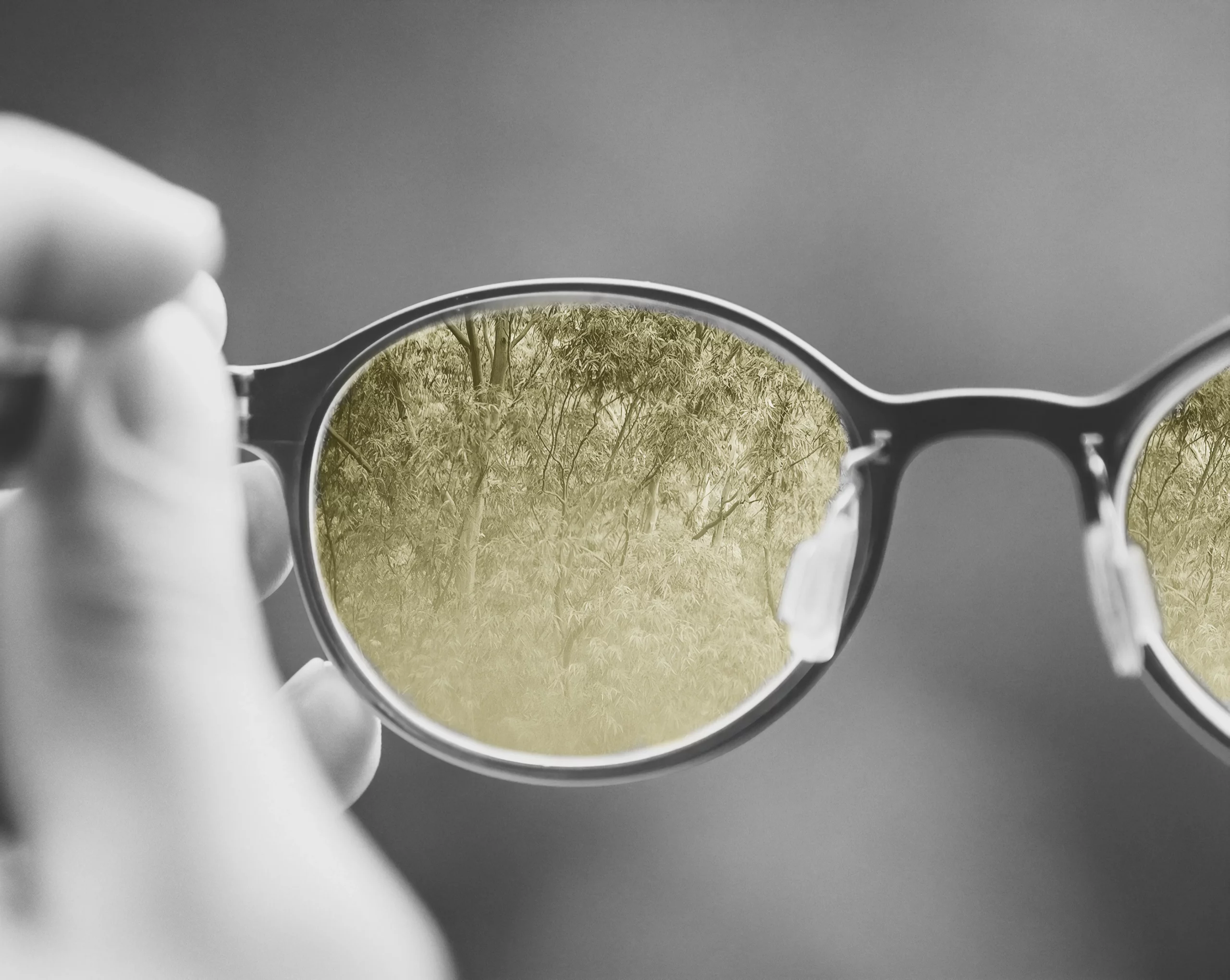 Community Spotlight: Eye-D