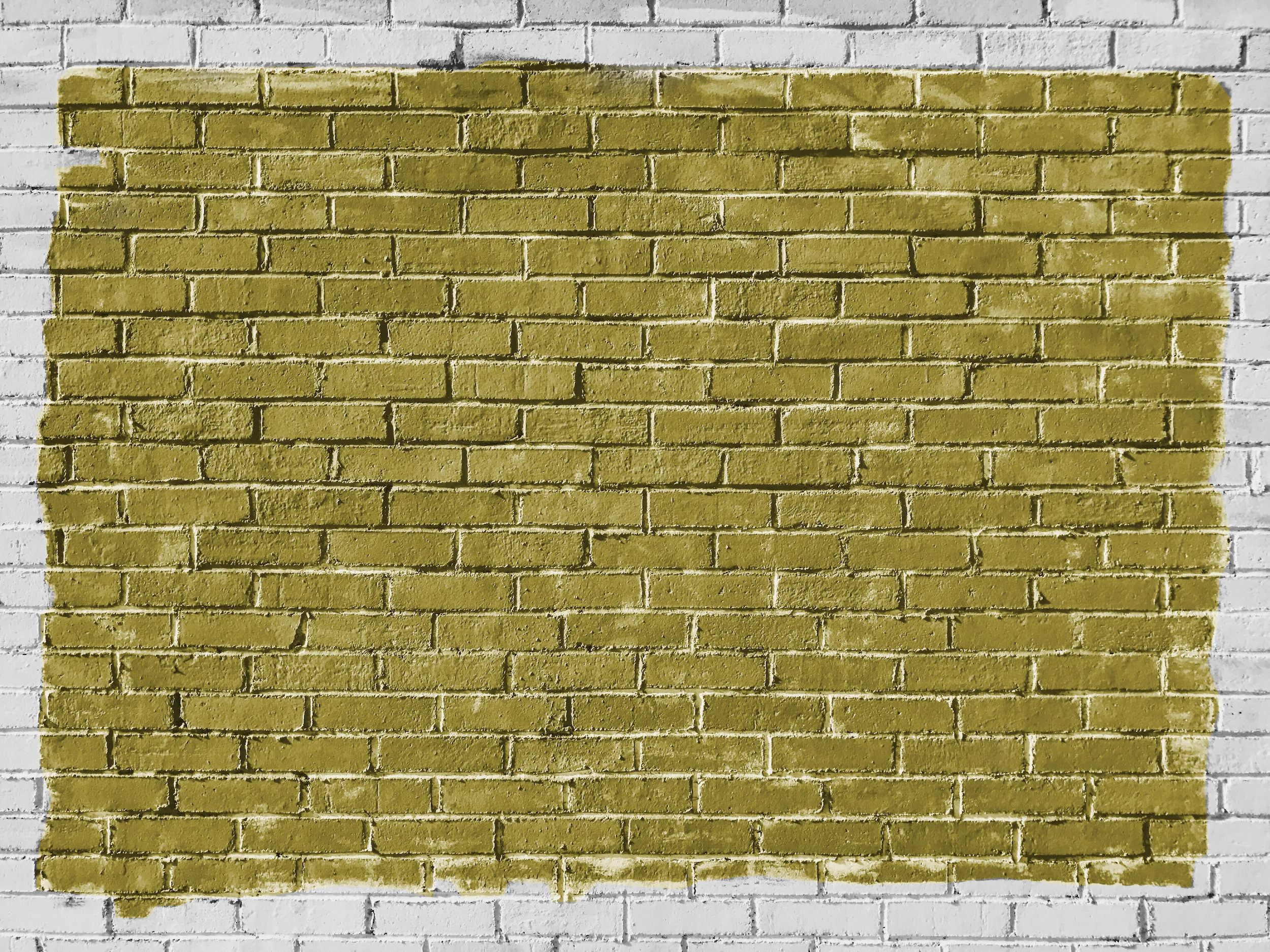 Changing Image Backgrounds Using Image Segmentation & Deep Learning