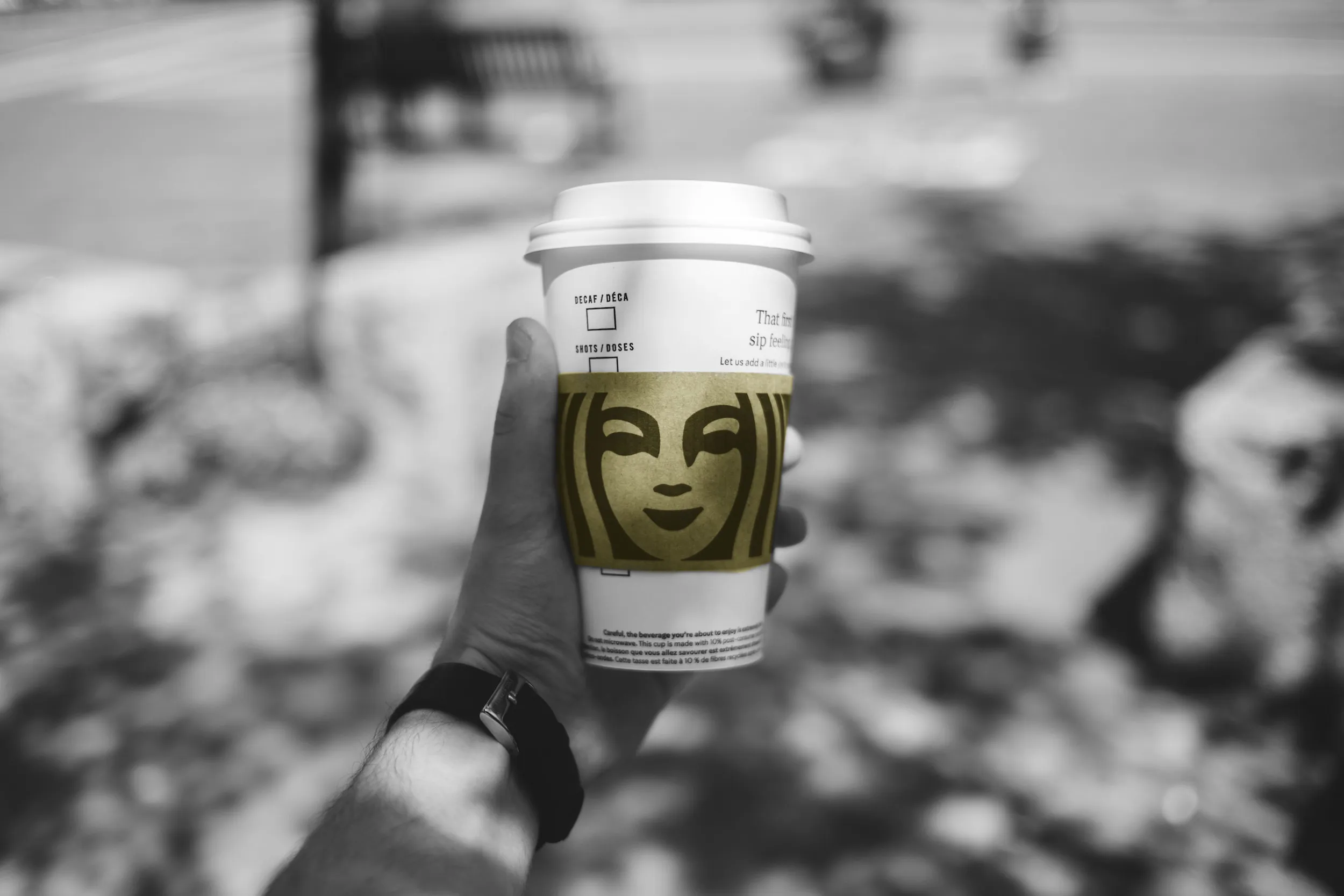 Logo Recognition iOS Application Using Machine Learning and Flask API