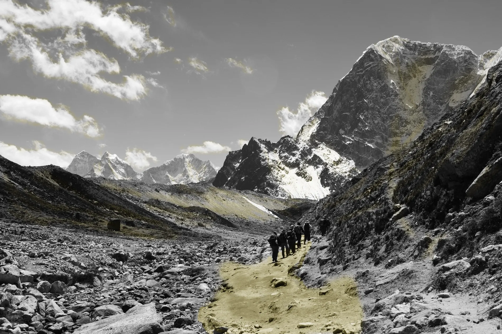 Image Segmentation for Android — Smart Background Replacement with Fritz AI