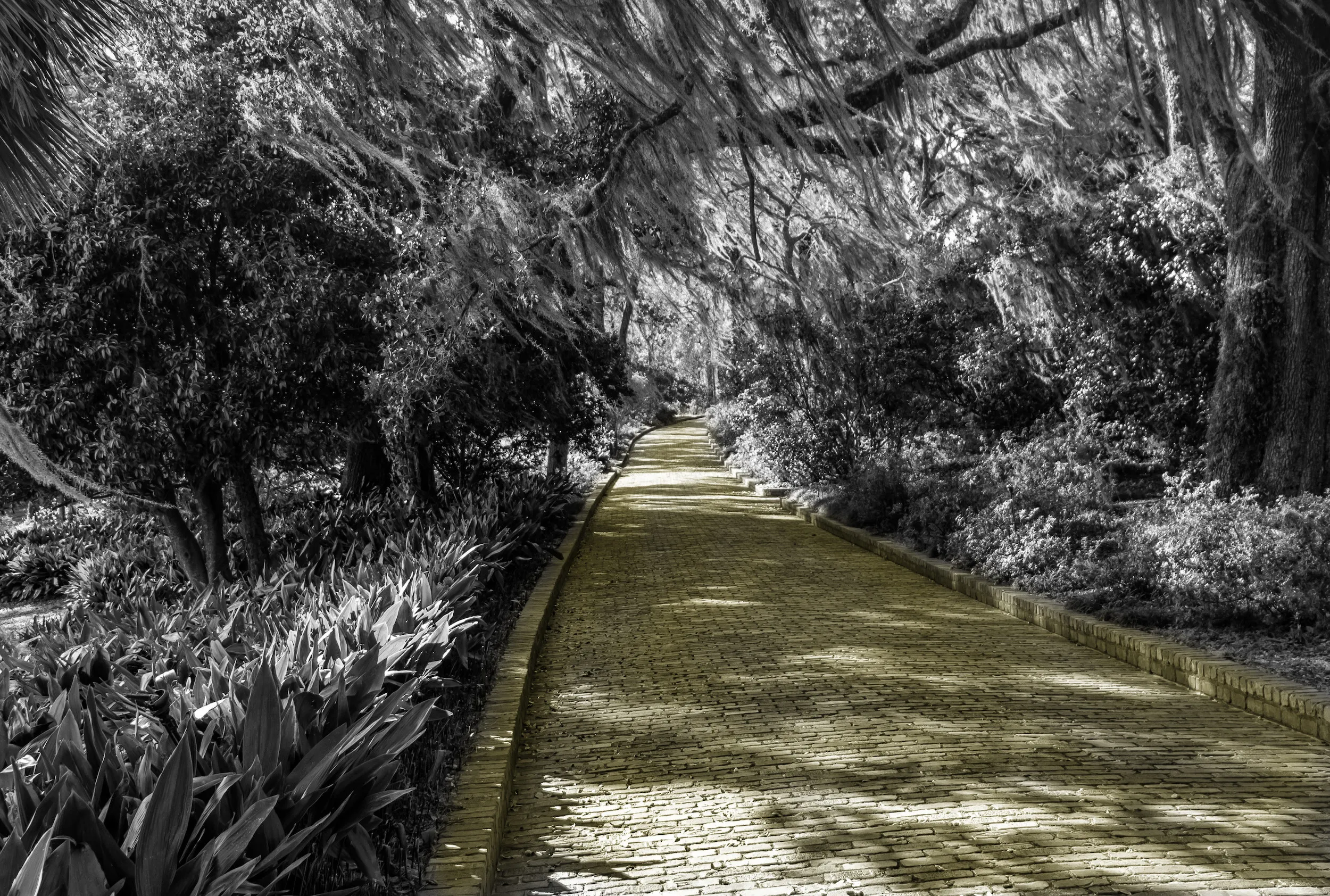 Analyzing Machine Learning Models with Yellowbrick