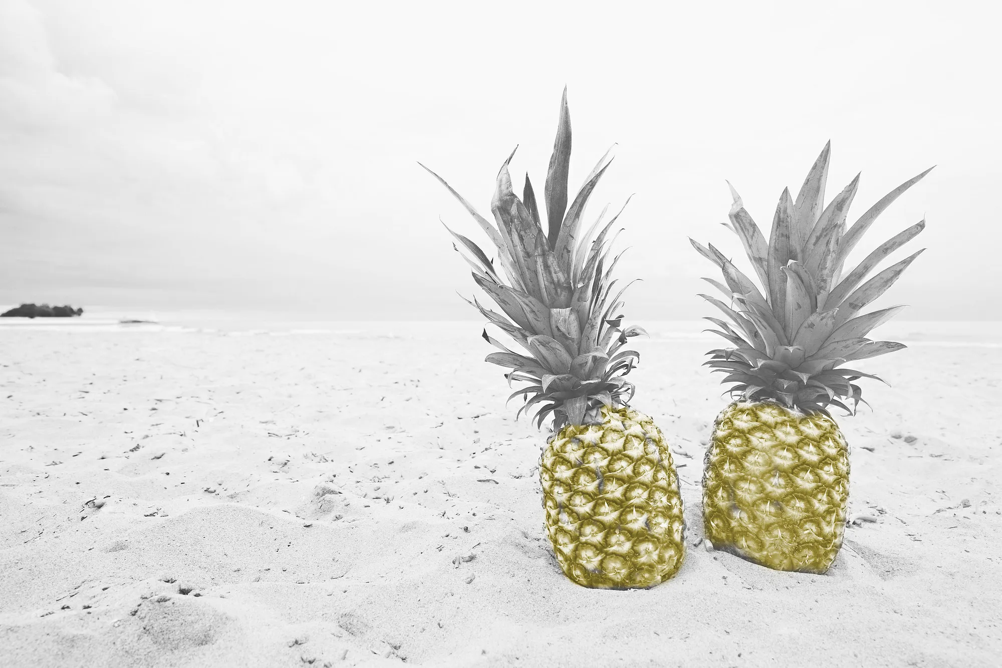 Snapchat Lens Recipe: “Clone”