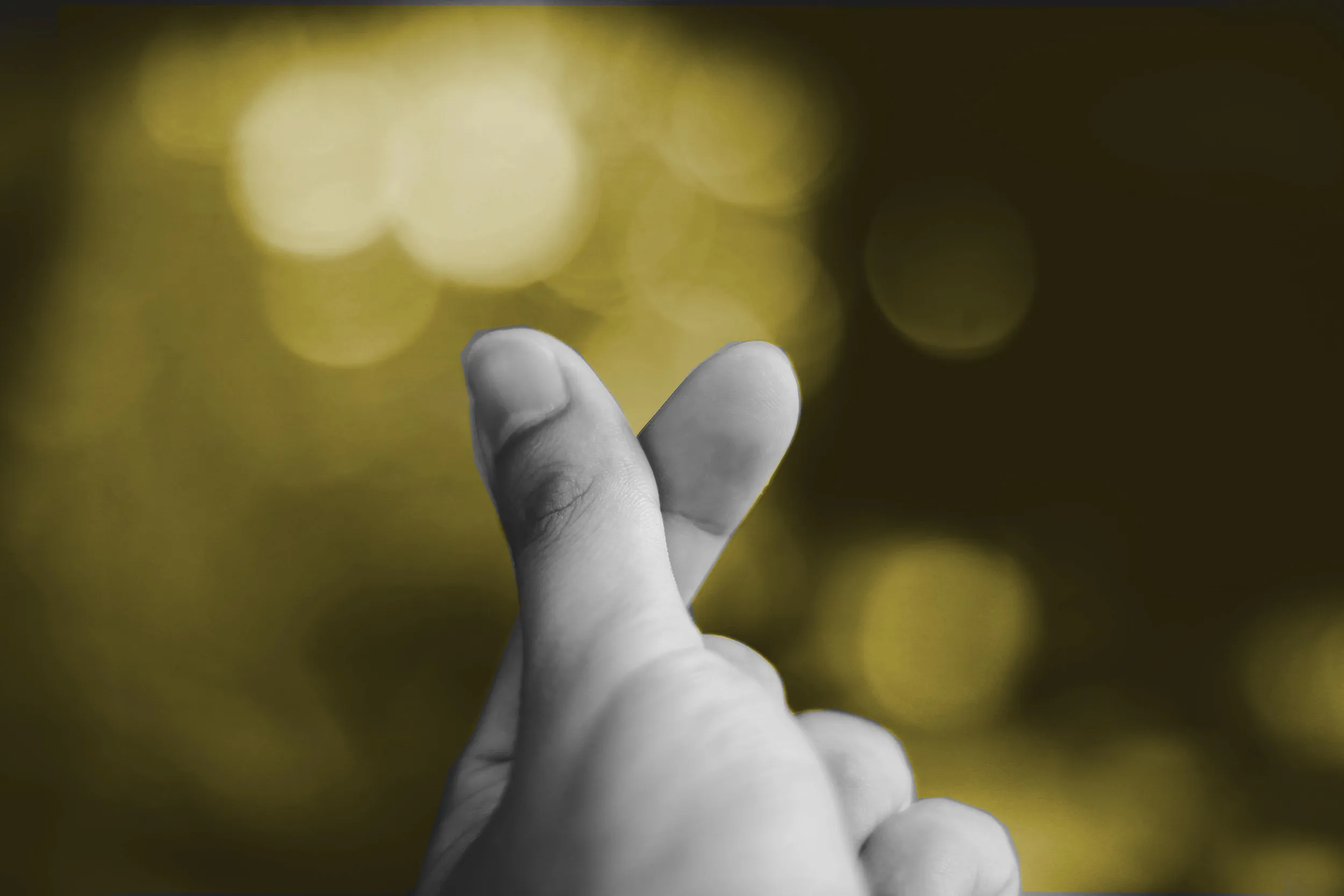 Visual Search for Mobile Commerce in Action: Shnap