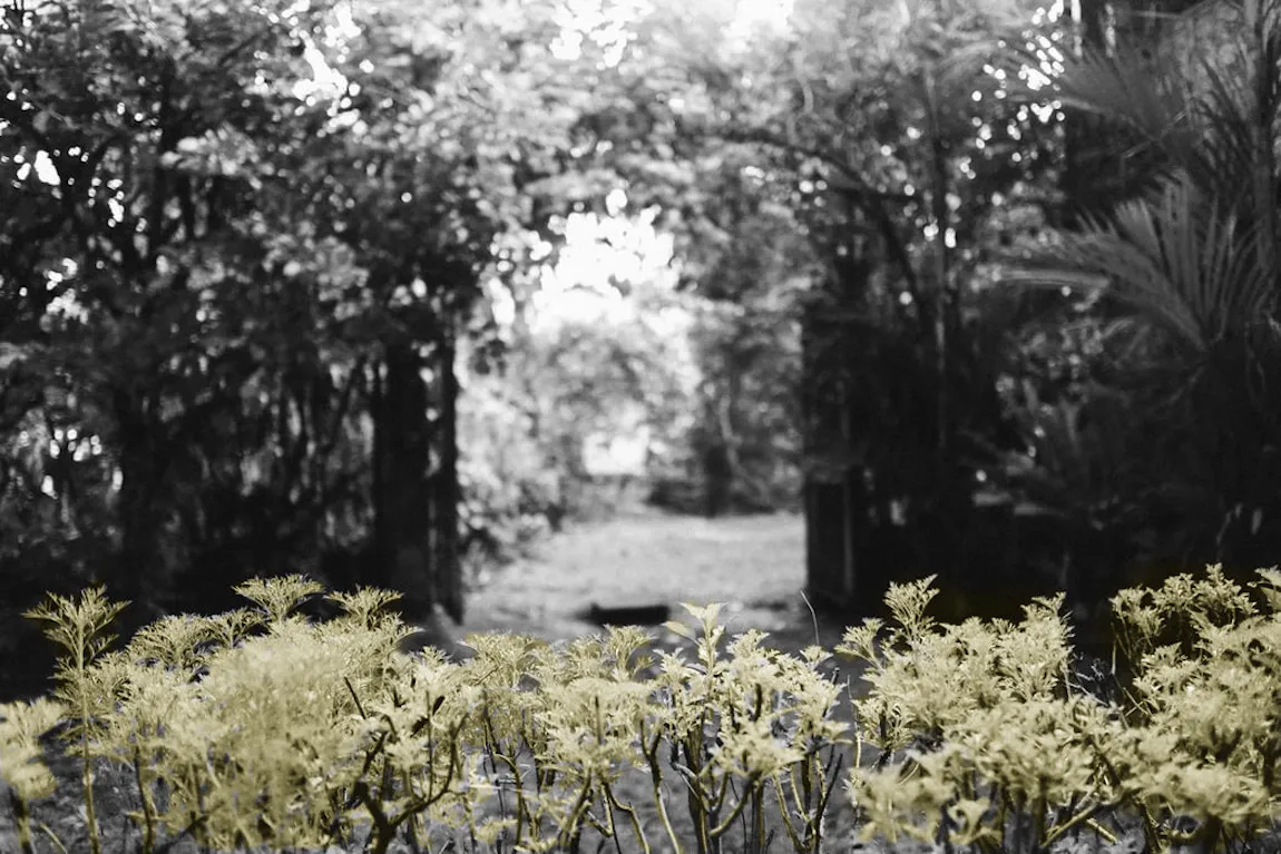 A Research Guide to Convolutional Neural Networks