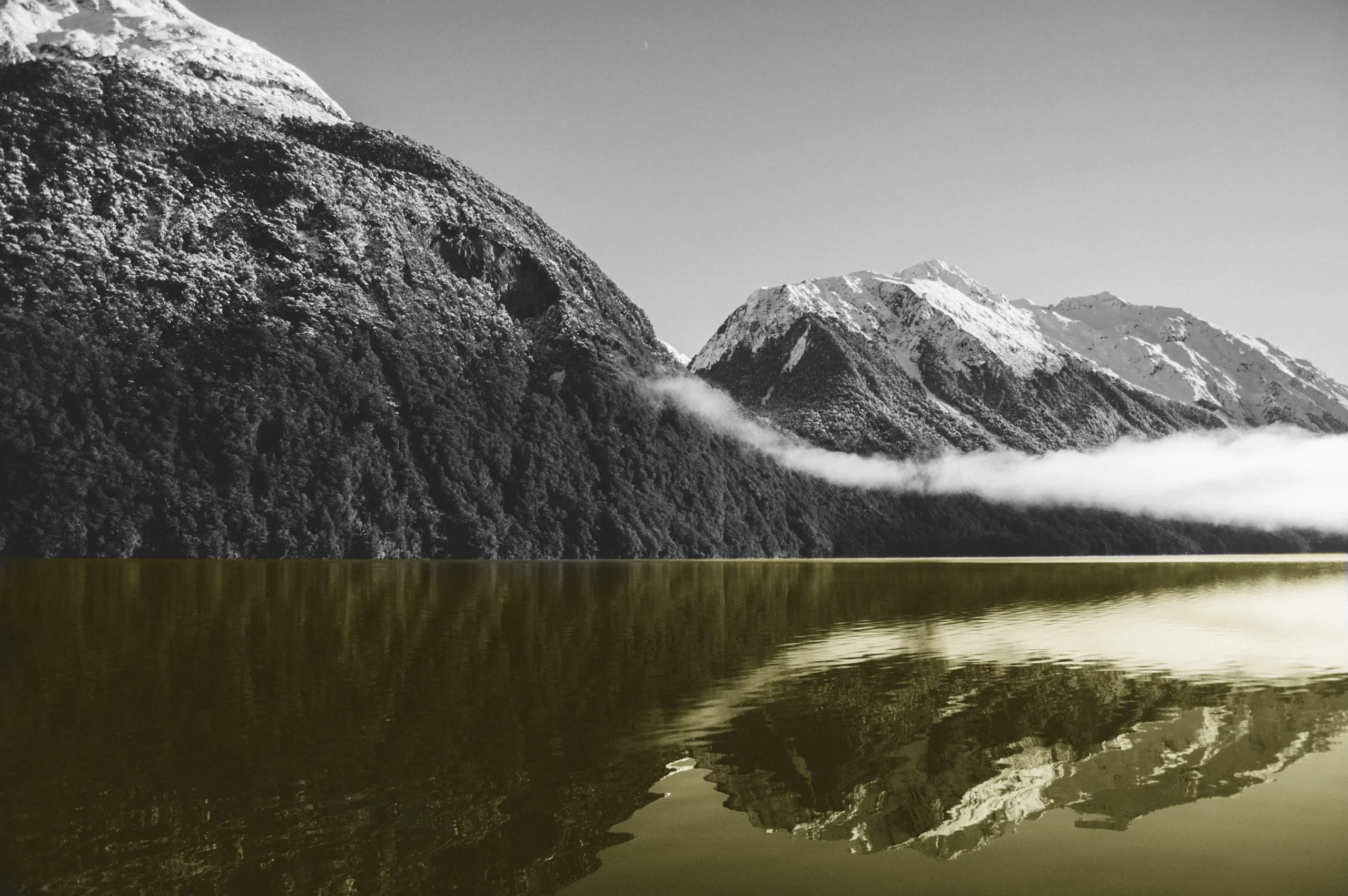 Using Generative Deep Learning Models On-Device