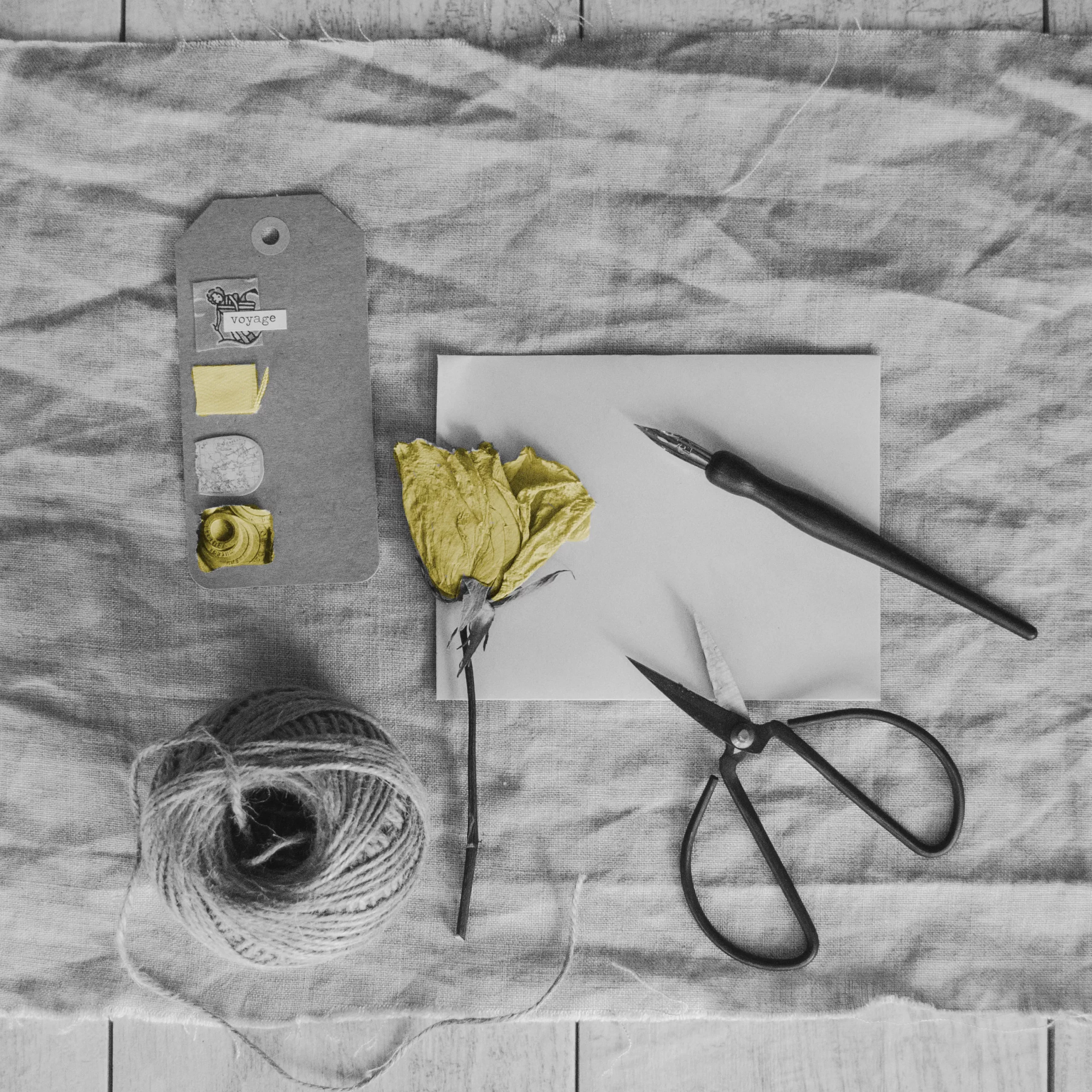 Object Detection with Flutter and TensorFlow Lite