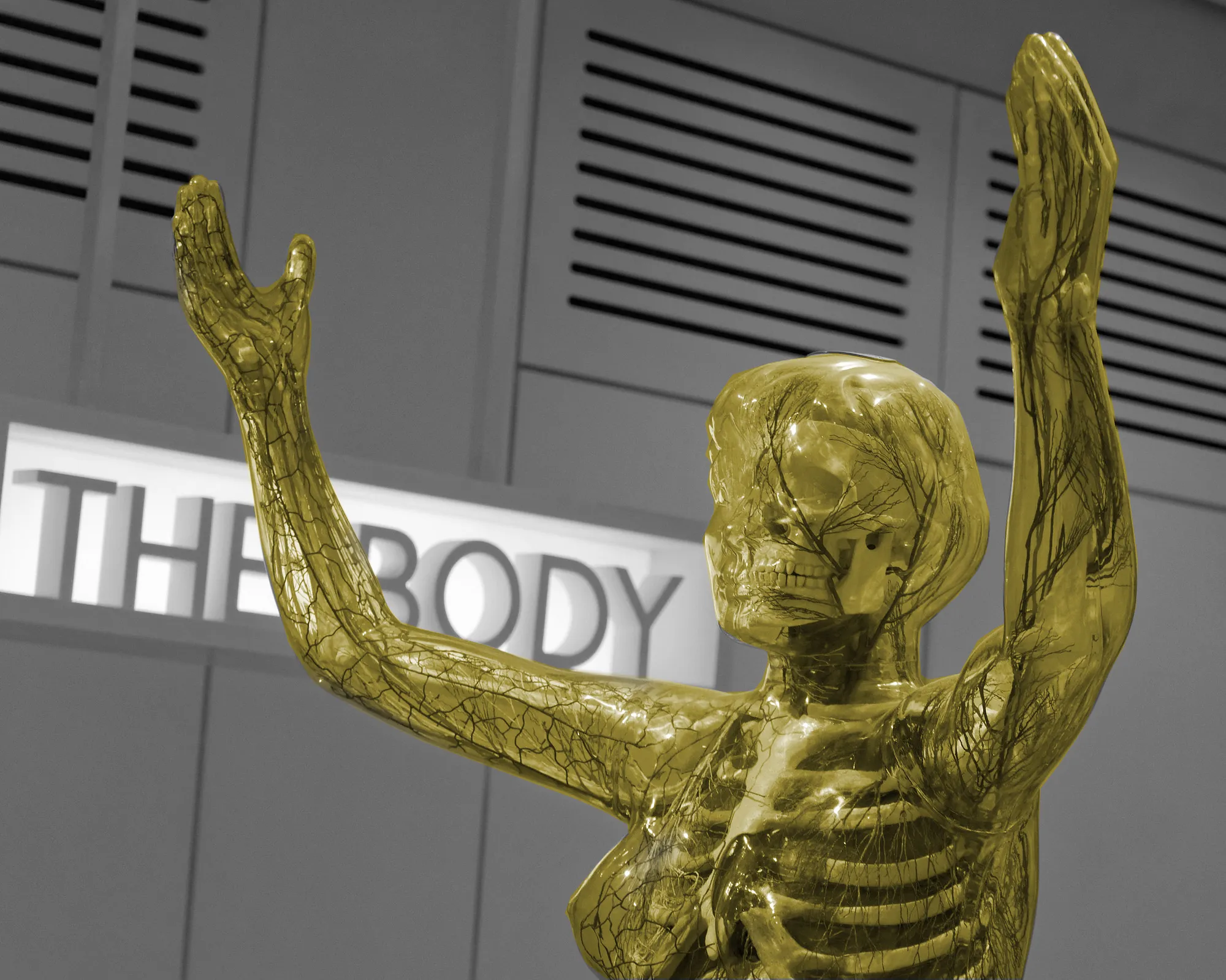 Body Segmentation in the Browser with TensorFlow.js