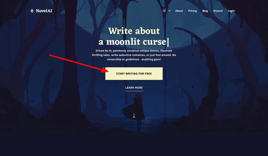 novel ai homepage